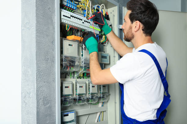 Best Electrical System Inspection  in Lake Junaluska, NC